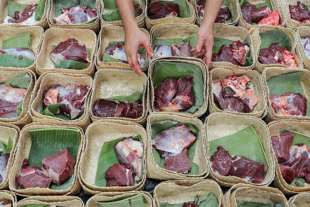daging kurban