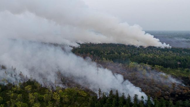 kebakaran hutan kalimantan