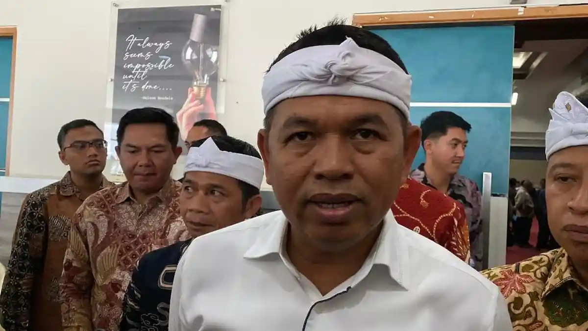 nakes hina pasien bpjs dedi mulyadi dpr